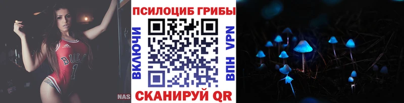 blacksprut ONION  Киренск  Псилоцибиновые грибы Cubensis 