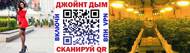 Шишки марихуана Amnesia  omg ссылка  Киренск 
